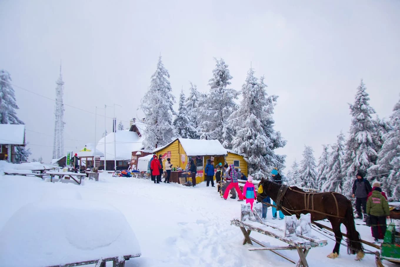 Оглядовий майданчик гора Тростян